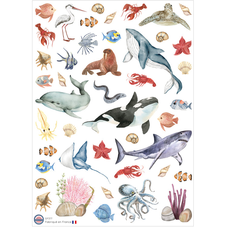 44 autocollants Animaux aquatiques image 0