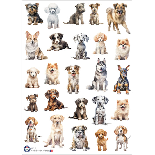 25 autocollants Chiens image 0