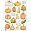 Autocollants Citrouilles et Butternuts | Les P'tites Gommettes | Fabrication française