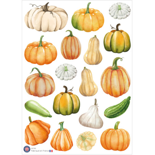 Autocollants Citrouilles et Butternuts | Les P'tites Gommettes | Fabrication française