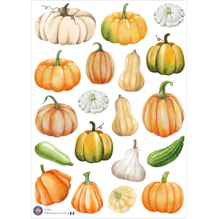Autocollants Citrouilles et Butternuts | Les P'tites Gommettes | Fabrication française