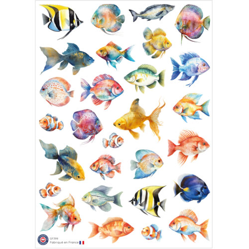 Autocollants Poissons | Les P'tites Gommettes | Fabrication française